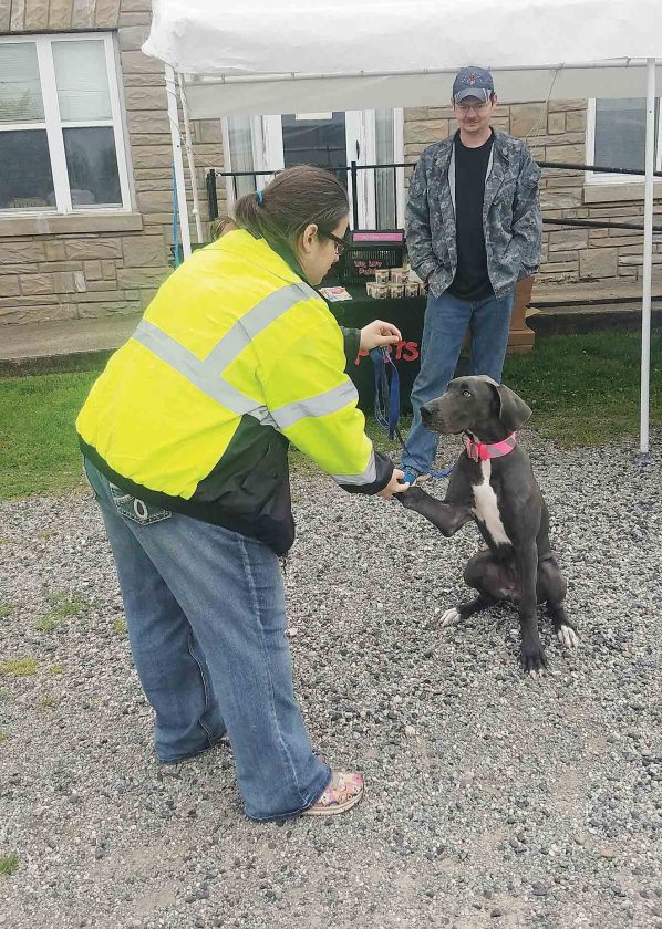 Photo Gallery Belpre Dog Days News, Sports, Jobs News and Sentinel